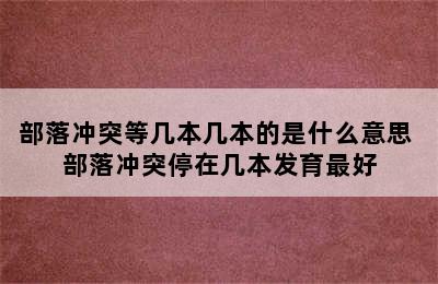 部落冲突等几本几本的是什么意思 部落冲突停在几本发育最好